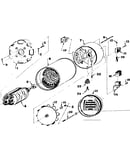Rotor and stator assembly