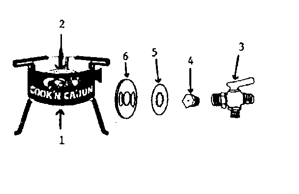 Outdoor cooker