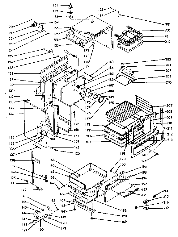 BODY SECTION