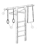 Trapeze and gym ring assembly