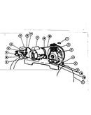 Check valve