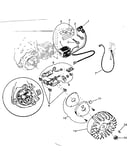 Starter assembly
