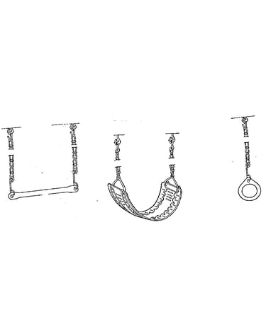 Swing, gym ring, & trapeze bar assembly