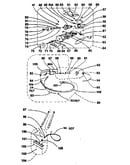 Motor and pump assembly