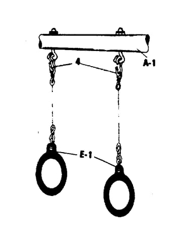 Gym ring assembly