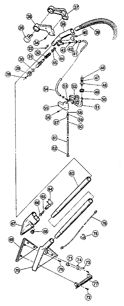 Extraction wand