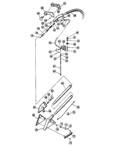 Extraction wand