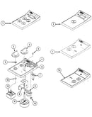Escutcheon assembly