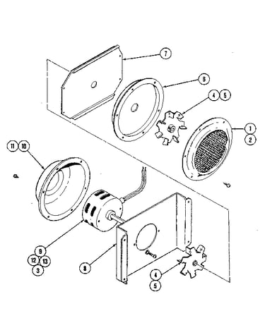 Fan: convection
