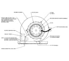 Rheem ROUZ blower assembly diagram