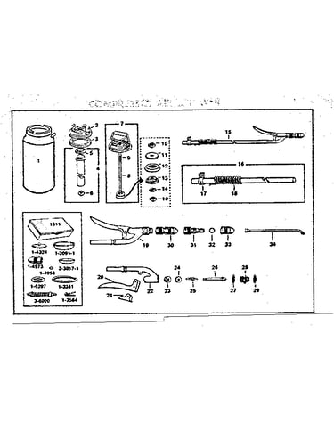Compressed air sprayer
