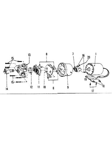 Sprayer motor and pump assembly