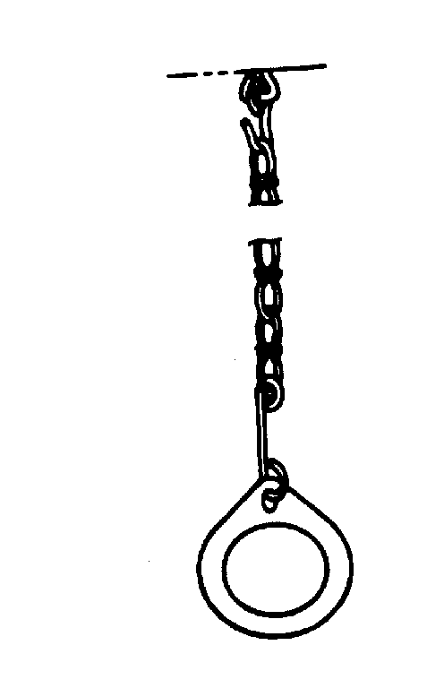 Gym ring assembly