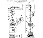 Kenmore 6651576581 pump and motor parts diagram