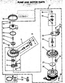 Pump and motor parts