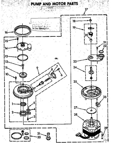 Pump and motor parts