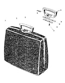 Carrying case