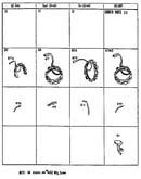 Stator chart