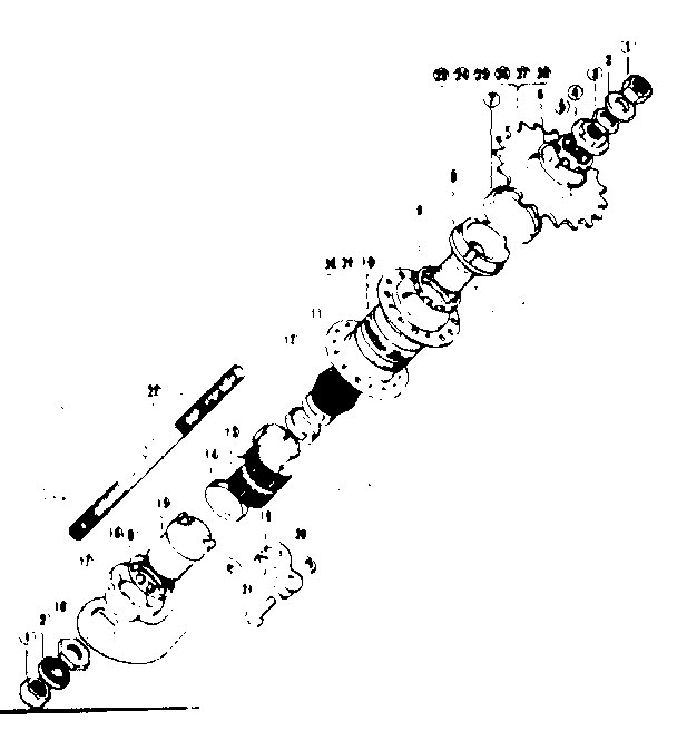 Coaster brake