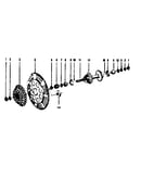 Shimano for rear hub