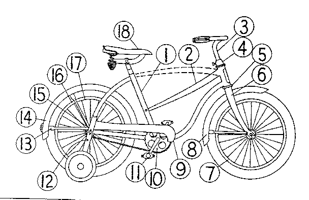 W/coaster brake