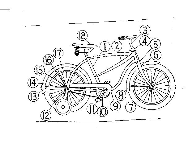 W/coaster brake