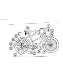 W/coaster brake