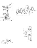 Backwash, pump, hair and lint pot assembly