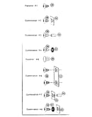 Fastener combinations