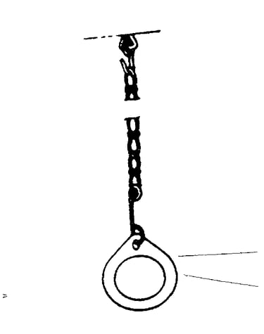 Gym ring assembly