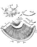 Sector plate, type bar (american spanish)