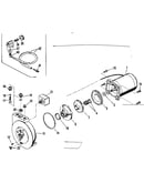 Motor and pump assembly