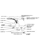 Blower assembly