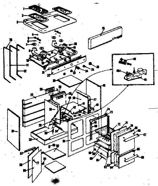 BODY SECTION