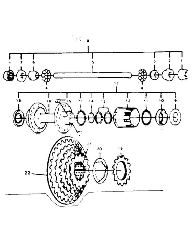12 speed rear hub