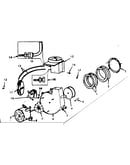 Gas valve, burner and controls