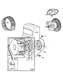 Rewind starter assembly