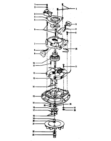 Motor