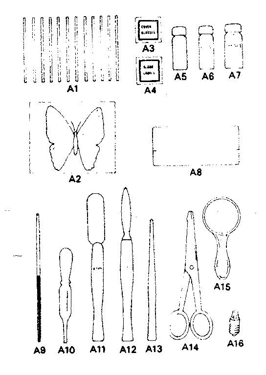 Accessories