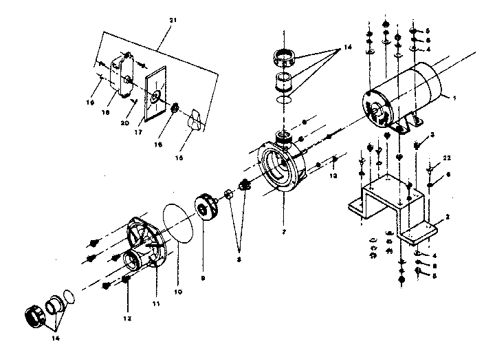 Pump and motor