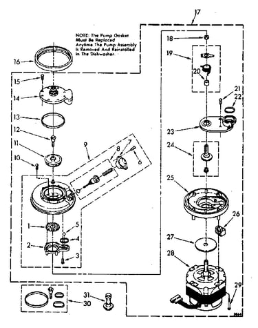 Pump and motor