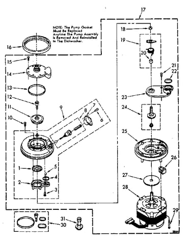 Pump and motor