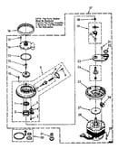 Pump and motor