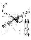 Dole valve
