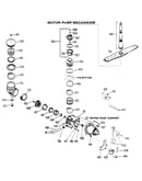 Motor-pump assembly