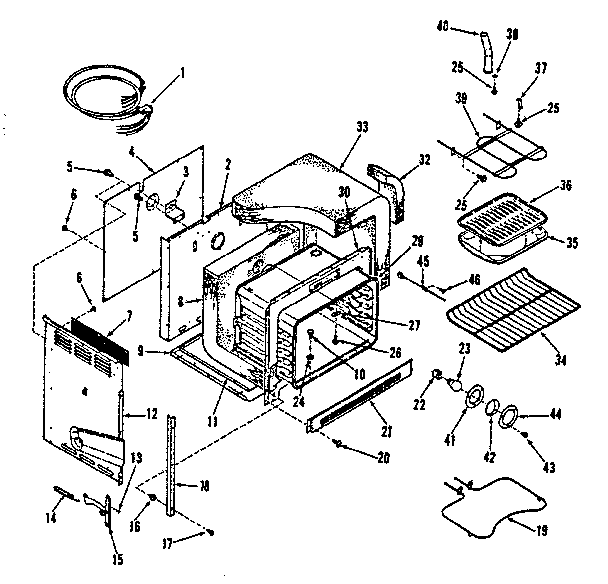 BODY SECTION