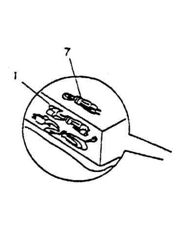 Connection cord