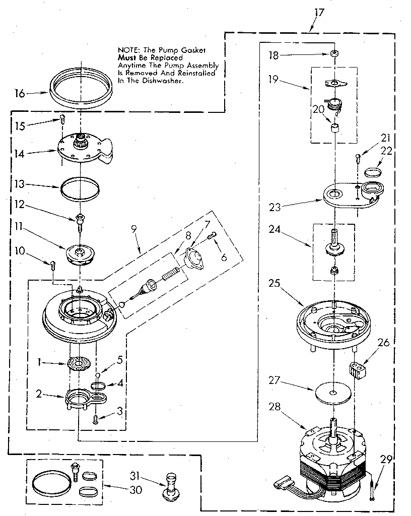 Pump and motor