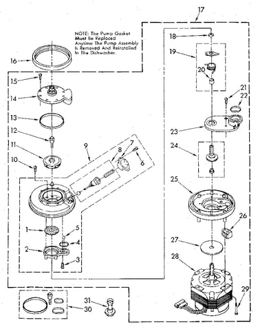 Pump and motor