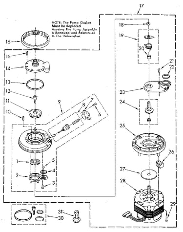 Pump and motor